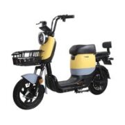 ZUB 五星钻豹 B3 plus版 新国标电动车 TDT22Z