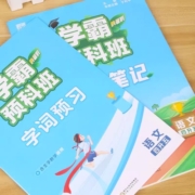 2023经纶学典学霸的暑假衔接一升二升三四语文阅读预科班课堂笔记