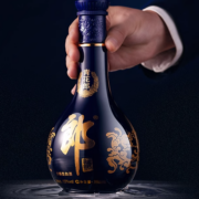20点开始、88VIP：LANGJIU 郎酒 青花郎 53%vol 酱香型白酒 500ml*2瓶