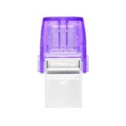 Kingston 金士顿 DTDUO3CG3  双接口U盘 256GB  USB3.2 Gen1