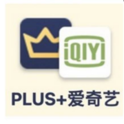 15日20点：iQIYI 爱奇艺 黄金VIP会员年卡+京东PLUS年卡+加赠2大权益
