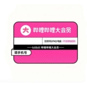bilibili 哔哩哔哩 大VIP会员年卡 12个月