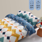 PLUS会员：20点开始、PLUS会员：BLISS 百丽丝 全棉四件套 1.5m床