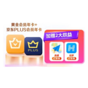 再降价、20点开始：iQIYI 爱奇艺 黄金会员年卡+京东PLUS年卡+赠两大权益