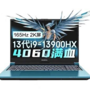 京东百亿补贴：七彩虹 将星X17 I9-13900HX RTX4060 标配 16G内存 512