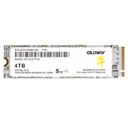 PLUS会员：20点开始：GLOWAY 光威 弈系列 M.2 NVMe 固态硬盘 4TB