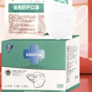 丽盾 医用N95口罩  50只