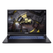 京东百亿补贴：神舟（HASEE）战神G8-DA7NP 12代笔记本电脑(i7-12700H 16G 512G RTX3060 165Hz 2.5K电竞屏)