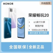 HONOR/荣耀畅玩20 4G手机5000mAh大电池大音量新款学生备用老人机