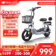 五星钻豹电动车 新国标电瓶车48V12AH L3 源彩灰