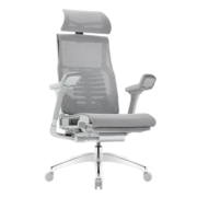 保友办公家具（Ergonor）Pofit 2代 智能人体工学椅电竞游戏椅电脑椅办公椅子 银白(Q4.0)美国网 +躺舒宝