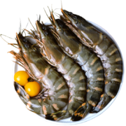京东百亿补贴：虾有虾途 活冻黑虎虾 15-16cm（600g/盒）2盒装