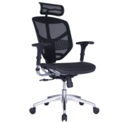 保友办公家具（Ergonor） 金卓B高配版人体工学椅enjoy电脑椅联友网椅学生办公椅电竞椅 黑色进口网【铝合金脚】