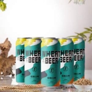 蕴酿之林 全麦白啤精酿啤酒500mL*12听