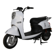 PARRAY 新大洲 GS1 电轻摩 PR600DQT-4B
