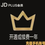 京东  PLUS会员年卡 12个月
