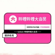 bilibili 哔哩哔哩 大VIP会员年卡 12个月