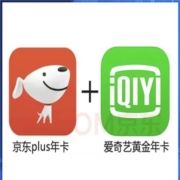 爱奇艺黄金VIP会员年卡 12个月 + 京东PLUS会员年卡 12个月