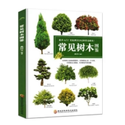 常见树木图鉴