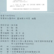 全是飞机系列4：全是战斗轰炸机