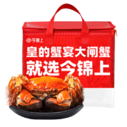 PLUS会员：今锦上 六月黄鲜活大闸蟹 10只装 1.8-2.1两/只