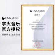 拿火吉他（LAVAGUITAR）LAVA ME play民谣吉他电箱初学者入门款男女生自学新手智能吉他 【标准琴包】水绿配薄荷绿 36寸
