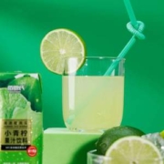 佰恩氏 NFC鲜榨 越南进口小青柠果汁 200ml*6瓶