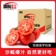哪咤豆豆生吃普罗旺斯西红柿3斤