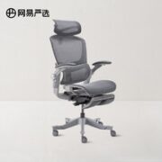 YANXUAN 网易严选 探险家系列 D1 星舰3D腰靠电脑椅 灰色