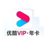 YOUKU 优酷 会员年卡 12个月