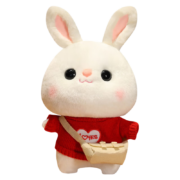 首购礼金：Eve Stone 兔子毛绒玩具30cm