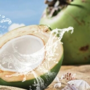 十大热门椰子水饮料排行榜