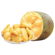 南业果 海南黄肉菠萝蜜 20-24斤