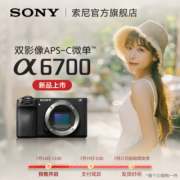 Sony/索尼 Alpha 6700 新一代APS-C画幅微单相机ILCE-6700/α6700