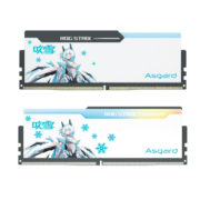 阿斯加特（Asgard）32GB(16GBx2)套 DDR5 6400 台式机内存 RGB灯条-吹雪联名款【CL32】
