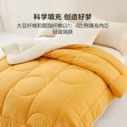 BLISS 百丽丝 豆哆哆抗菌春秋被 220*240cm