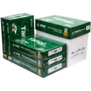 天章(TANGO)新绿天章70gB5(182mm*257mm)复印纸 品质款打印纸 打印顺畅双面打印 500张/包 10包/箱(5000张)