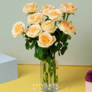 88VIP！花点时间 小玫瑰 单色随机10枝（约40cm)