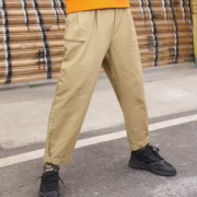 百亿补贴！Dickies 帝客 男士休闲裤 DK009495