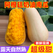 蹊蹊的小菜园 当季新鲜现摘奶油小南瓜 3斤