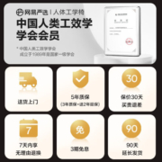 网易严选5D人体工学转椅高端 电脑椅办公椅电竞椅午休可躺椅子 领航员系列 【5D转椅】N2-灰色-5D扶手