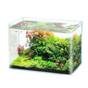 京东百亿补贴：yee 意牌 超白玻璃水族箱小型鱼缸 20*14*16cm+鱼缸礼包