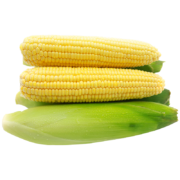 绿行者 水果玉米 2.5kg 约8-12棒