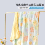 BLISS 百丽丝 春意盎趣 印花抗菌夏被 200*230cm