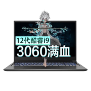 京东百亿补贴：七彩虹 将星X15-AT 15.6英寸游戏笔记本 5-12450H/RTX4060/144HZ电竞 16G内存/512G固态