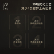 观云·破阵子52度500ml*2瓶礼袋浓香型纯粮食白酒日常聚餐口粮酒