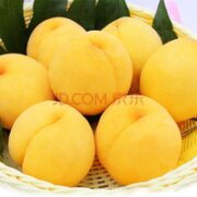 OIMG 蒙阴黄桃  5斤装 约8-14个