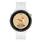 佳明（GARMIN） Forerunner245Music游泳跑步骑行血氧心率智能户外运动手表送礼 FR245M音乐版 纯净白