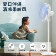 艾美特（AIRMATE）五弦扇叶轻音落地扇 遥控升级加大款CS40-R3