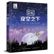 DK夜空之下